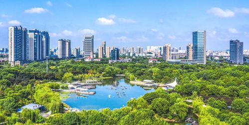 中央確定浙江省12個中等城市 嘉興將升大城市,瑞安 金華同級