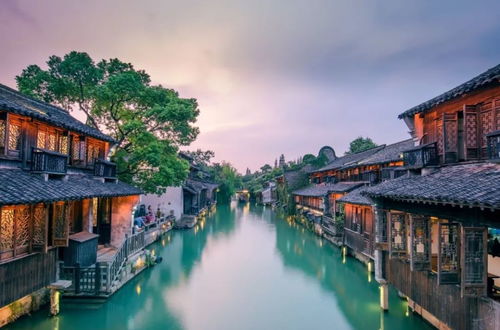 嘉興,一個讓人發(fā)胖的地方