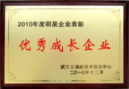 武漢時(shí)代地智科技股份 油田勘探開(kāi)發(fā)軟件研發(fā)與技術(shù)服務(wù)的領(lǐng)航者